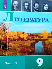 Литература 9 класс
